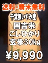 �V�ĂQ�R�N�Y�@��t�������ݎY�����Ђ��茺��30kg ��������