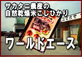 �T�J�^�j�_�Y�@���R�����ā@���[���h�G�[�X�@�����Ђ���T����
