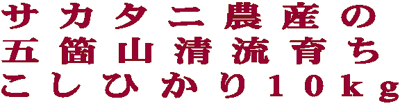 サカタニ農産の 五箇山清流育ち こしひかり10kg