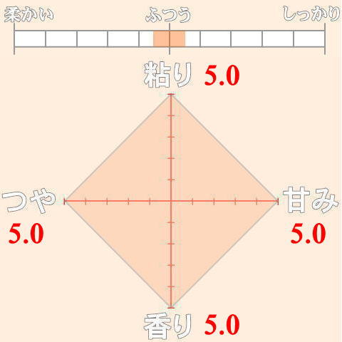 佐藤真こしひかり バランスシート