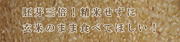 ご注文いただいてから丹精込めて精米致します!