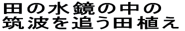 草取りも時期を 考えて適切に