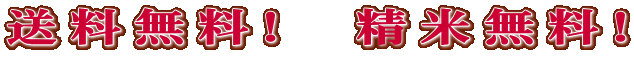 ���������I�@���Ė����I 
