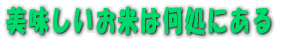 �����������Ă͂ǂ��ɂ���