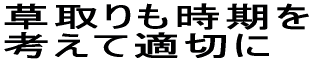 草取りも時期を 考えて適切に