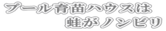 プール育苗ハウスは 蛙がノンビリ