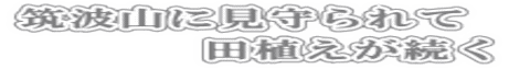 筑波山に見守られて 田植えが続く