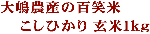 �哈�_�Y�̕S�Ε�  �@�����Ђ��� ���ĂP���� 