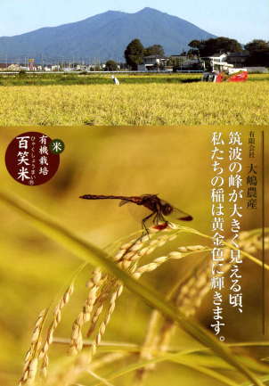 �S�Ε�