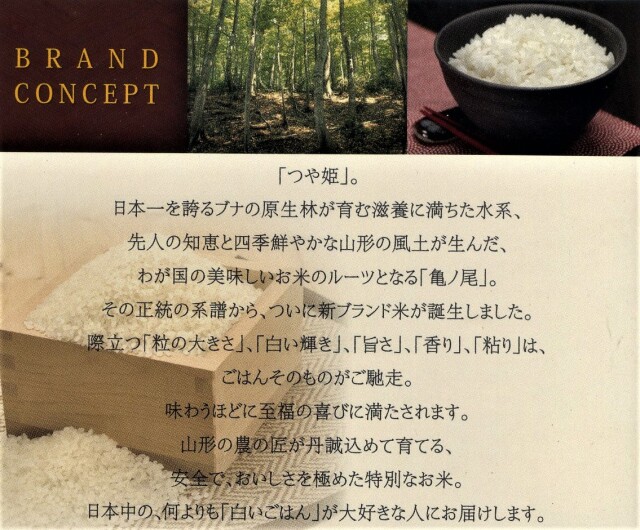 つや姫　減農薬特別栽培　山形県庄内藤島町　令和５年産新米　５ｋｇ