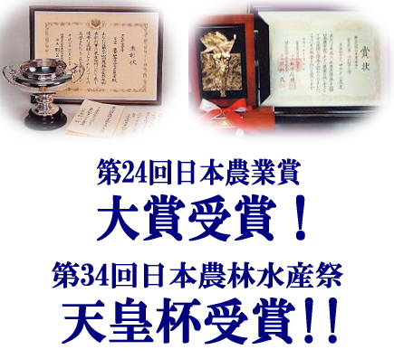 �V�c�t���